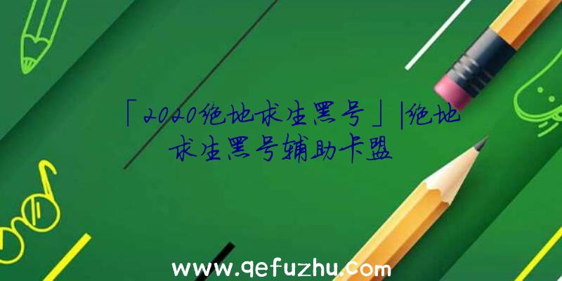 「2020绝地求生黑号」|绝地求生黑号辅助卡盟